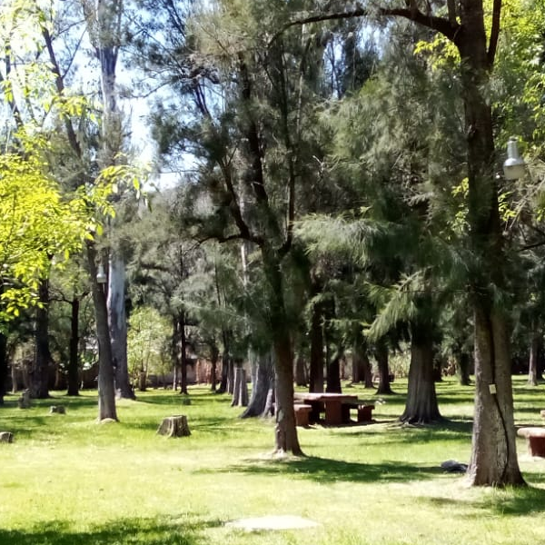 foto_16